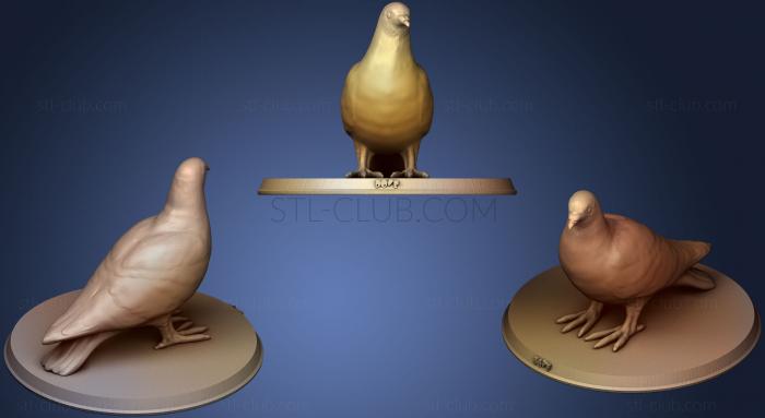 3D model Dove (STL)